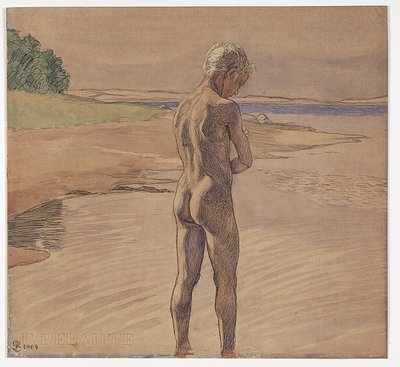 Állása a vízben. Motívum a Fyns Hovedtől alkotó: Fritz Syberg