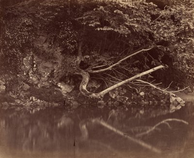 River Bank a Neath-völgyben,c. 1855 (fotó) alkotó: G.B. Gething