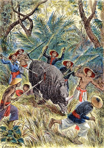 Rhinoceros hunting, French Indochina, c.1900 (illustration) alkotó: G. Dascher