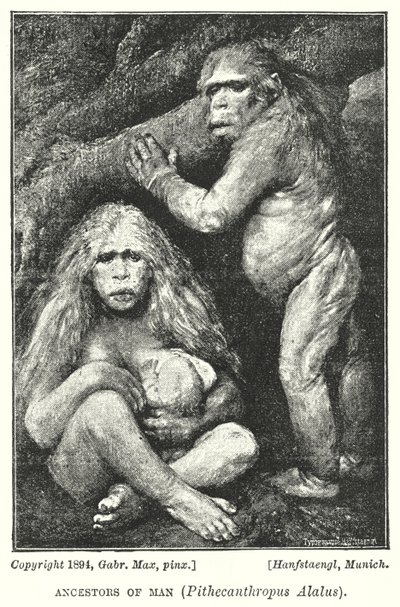 Az ember ősei, Pithecanthropus Alalus (litho) alkotó: Gabriel Max