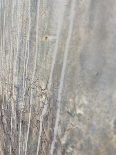  alkotó: Gabriela Aleksandra Szuba