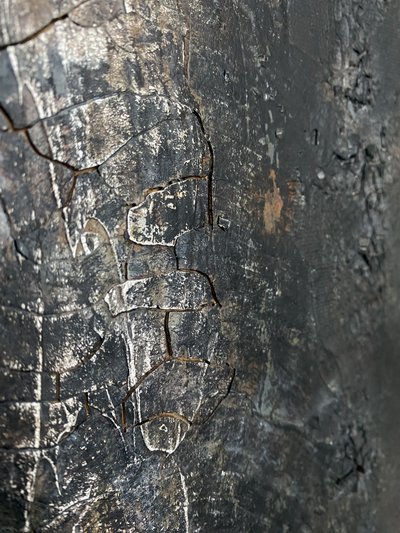  alkotó: Gabriela Aleksandra Szuba