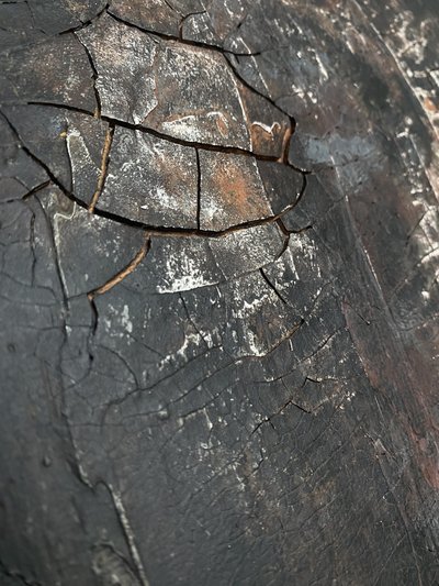  alkotó: Gabriela Aleksandra Szuba