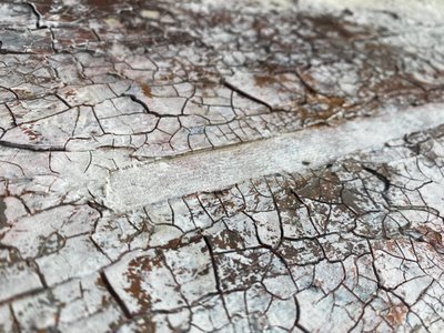  alkotó: Gabriela Aleksandra Szuba