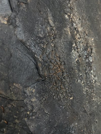  alkotó: Gabriela Aleksandra Szuba