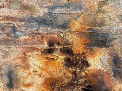  alkotó: Gabriela Aleksandra Szuba