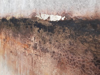  alkotó: Gabriela Aleksandra Szuba