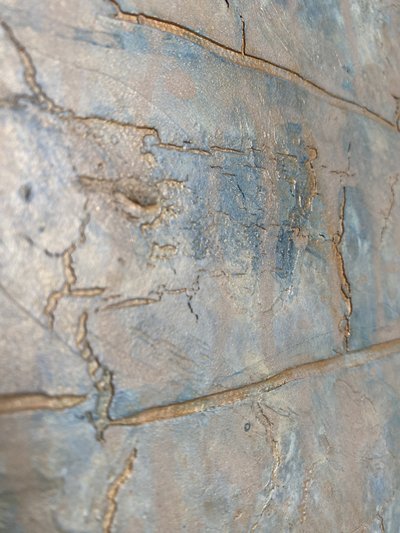  alkotó: Gabriela Aleksandra Szuba