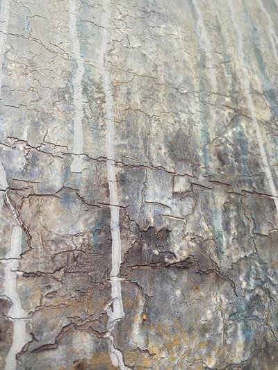  alkotó: Gabriela Aleksandra Szuba