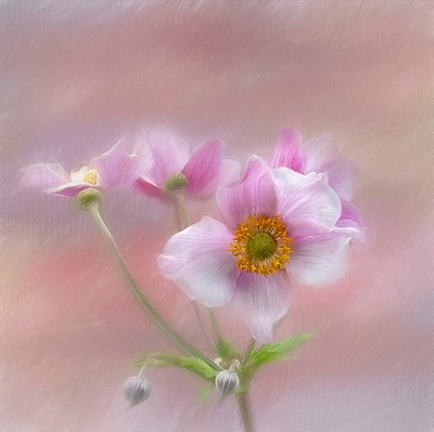  alkotó: Gaille Gray