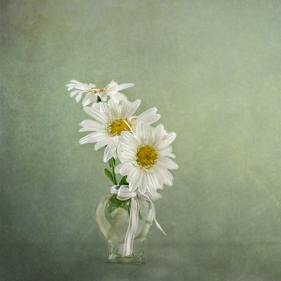  alkotó: Gaille Gray