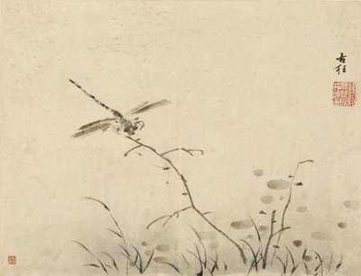 Szitakötő alkotó: Gao Qipei