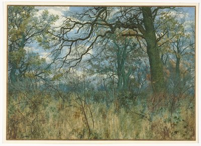 Fák és aljnövényzet, 1885. alkotó: Garden William Fraser