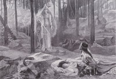 A kinyilatkoztatás (Brunnhilde felfedezi Sieglindét és Siegmundot) (litho) alkotó: Gaston Bussiere
