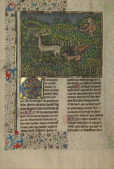 A vadászat könyve alkotó: Gaston Phébus
