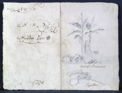 Bananenbäume von Genevieve-Sophie-Marie-Adele Patu de Rosemont