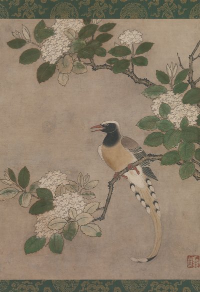 Szarka a Viburnum-ágon, 16. század eleje. alkotó: Genga