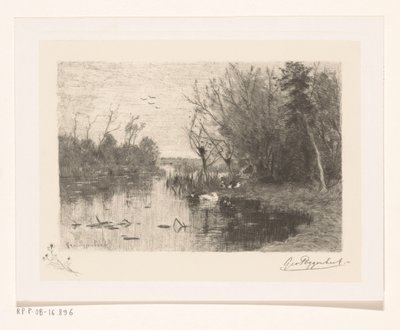 Kacsák a tó mentén és a partján Kacsapisi (eredeti cím) alkotó: Geo Poggenbeek (signed by artist)