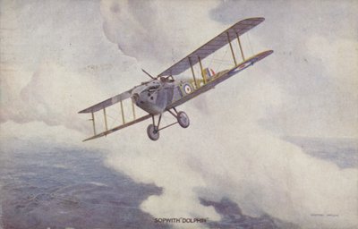 Sopwith Dolphin vadászrepülő (színes litho) alkotó: Geoffrey (after) Watson