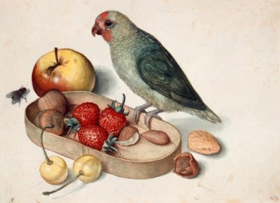 Csendélet törpepapagájjal alkotó: Georg Flegel