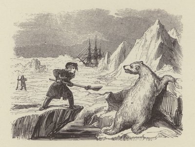 A fiatal Nelson megöl egy jegesmedvét (metszet) alkotó: George (after) Cruikshank