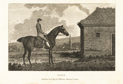 Az Otho telivér versenyló portréja alkotó: George (after) Stubbs