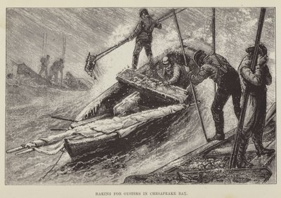 Osztriga gereblyézése a Chesapeake-öbölben alkotó: George Augustus Sala