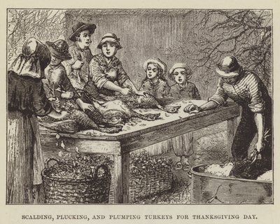 Pulykák leforrázása, kopasztása és tömése a hálaadás napjára alkotó: George Augustus Sala