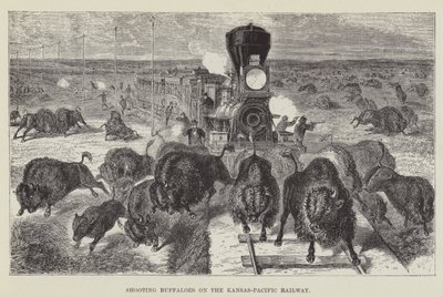 Bivalyok lövöldözése a Kansas-Pacific Railway-n alkotó: George Augustus Sala
