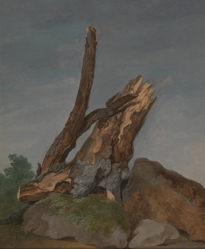 A sziklák és ágak tanulmányozása alkotó: George Augustus Wallis