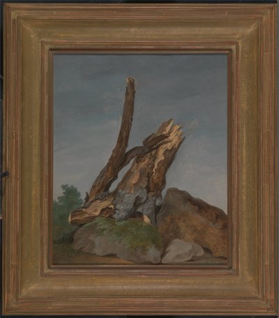 Sziklák és ágak tanulmányozása alkotó: George Augustus Wallis