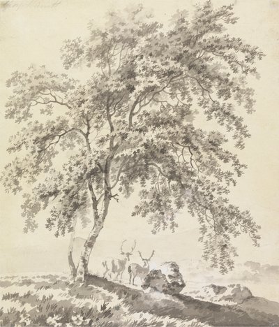 Fatanulmány szarvassal (táj) alkotó: George Barret