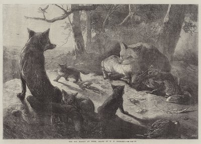 A Róka család otthon alkotó: George Bouverie Goddard