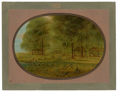 Egy karibi falu Holland Guyanában alkotó: George Catlin