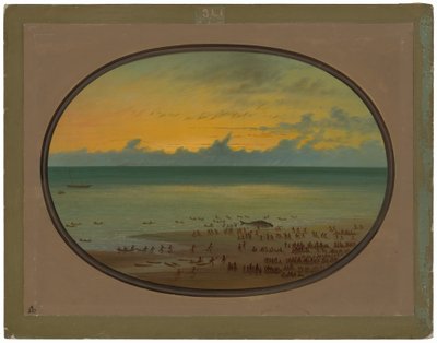 Egy bálna parton – Klahoquat alkotó: George Catlin