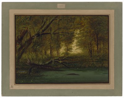  alkotó: George Catlin