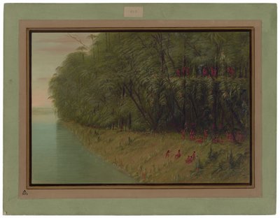 Egy Amazonas-erdő – Kinézett a partra alkotó: George Catlin