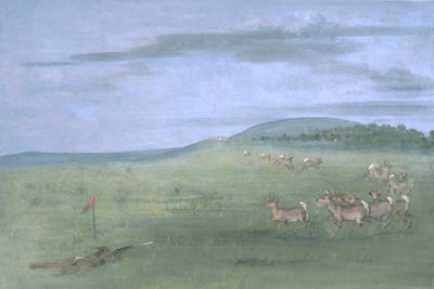 Antilop lövés, csalizott fel alkotó: George Catlin
