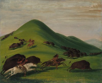 Buffalo Chase a Prairie Bluffs felett alkotó: George Catlin