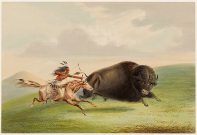 Bivalyvadászat, üldözés alkotó: George Catlin