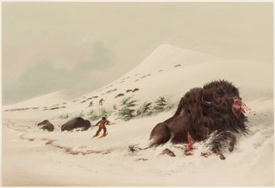 Bölényvadászat, haldokló bölénybika hótorlaszban alkotó: George Catlin