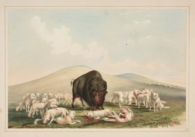  alkotó: George Catlin