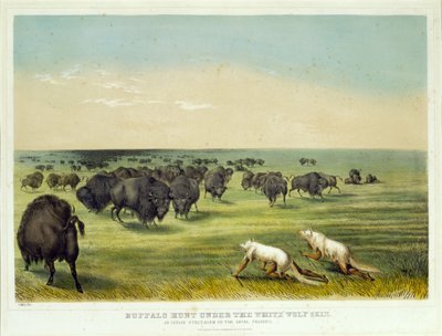  alkotó: George Catlin