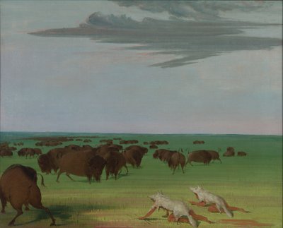Bivalyvadászat a farkasbőr maszkja alatt, 1832-1833. alkotó: George Catlin