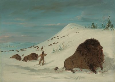 Buffalo Lancing a hószállingózásban – Sioux, 18611869. alkotó: George Catlin