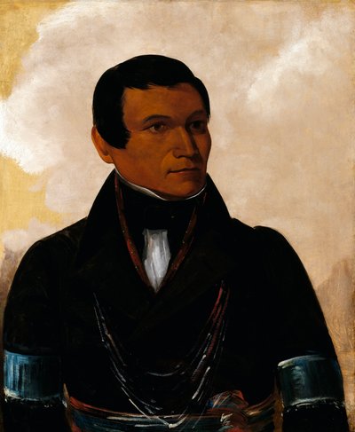 Cú-sick, a főnök fia alkotó: George Catlin