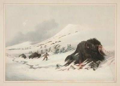  alkotó: George Catlin
