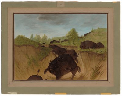 Grizzly Bears támadja a bivalyt alkotó: George Catlin