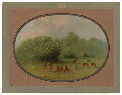  alkotó: George Catlin