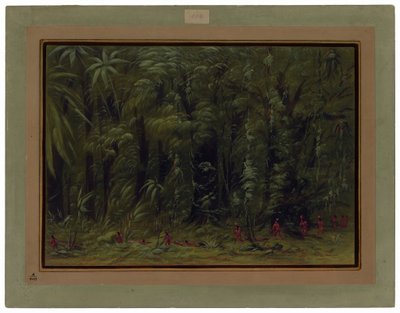 Egy Amazonas-erdő belseje - Zurumati alkotó: George Catlin